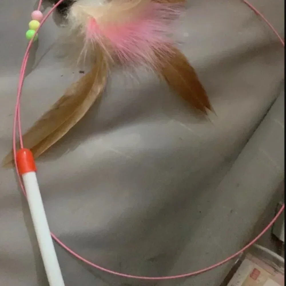 Cat fishing rod toy